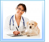 Dog Vet Trips Formby